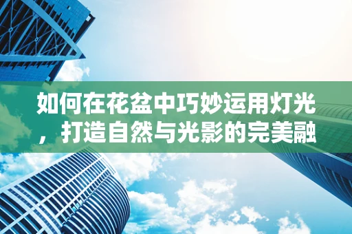 如何在花盆中巧妙运用灯光，打造自然与光影的完美融合？