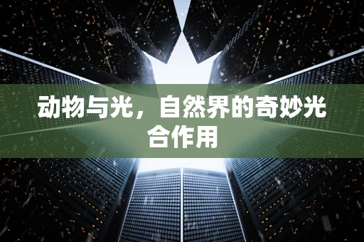 动物与光，自然界的奇妙光合作用