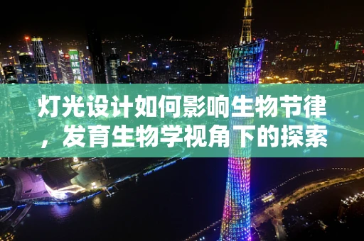 灯光设计如何影响生物节律，发育生物学视角下的探索
