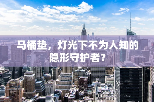 马桶垫，灯光下不为人知的隐形守护者？