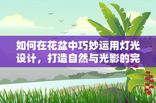 如何在花盆中巧妙运用灯光设计，打造自然与光影的完美融合？