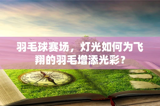 羽毛球赛场，灯光如何为飞翔的羽毛增添光彩？