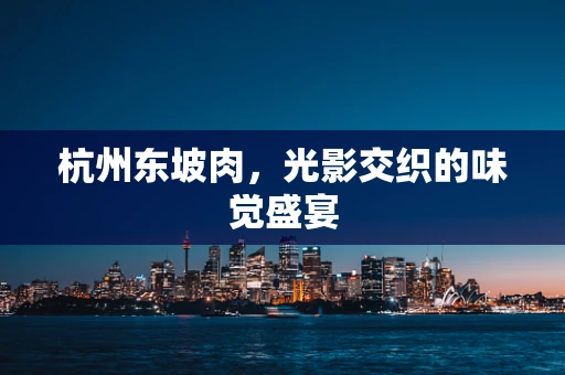 杭州东坡肉，光影交织的味觉盛宴