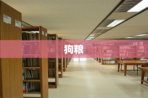 狗粮