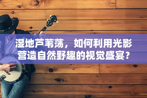 湿地芦苇荡，如何利用光影营造自然野趣的视觉盛宴？