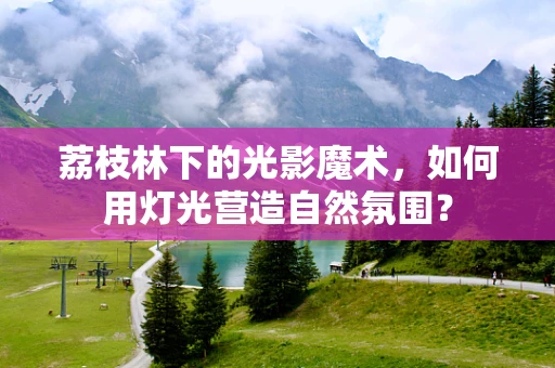 荔枝林下的光影魔术，如何用灯光营造自然氛围？