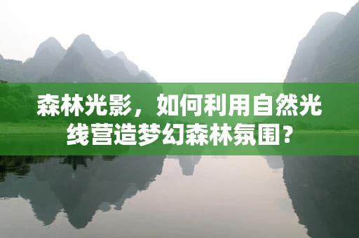 森林光影，如何利用自然光线营造梦幻森林氛围？
