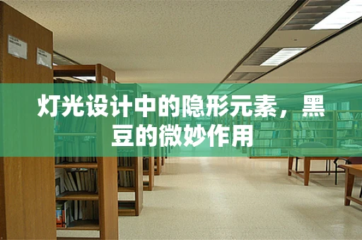 灯光设计中的隐形元素，黑豆的微妙作用