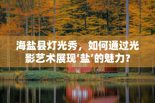 海盐县灯光秀，如何通过光影艺术展现‘盐’的魅力？