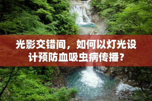 光影交错间，如何以灯光设计预防血吸虫病传播？