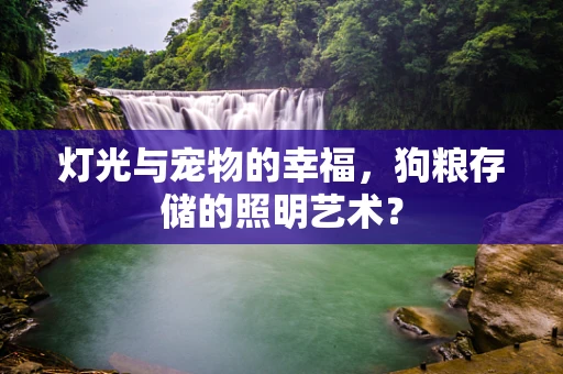 灯光与宠物的幸福，狗粮存储的照明艺术？