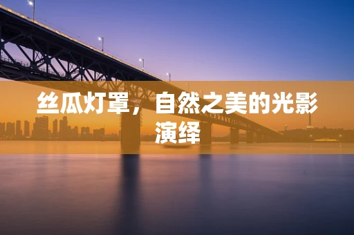 丝瓜灯罩，自然之美的光影演绎