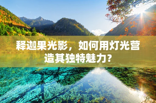 释迦果光影，如何用灯光营造其独特魅力？