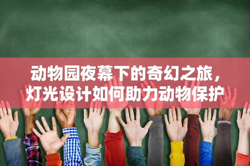 动物园夜幕下的奇幻之旅，灯光设计如何助力动物保护？