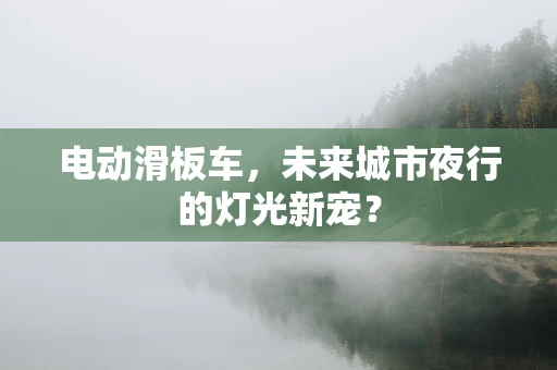 电动滑板车，未来城市夜行的灯光新宠？