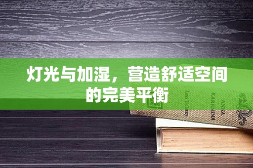 灯光与加湿，营造舒适空间的完美平衡