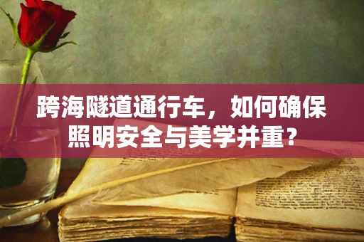 跨海隧道通行车，如何确保照明安全与美学并重？