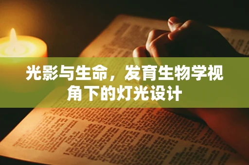光影与生命，发育生物学视角下的灯光设计