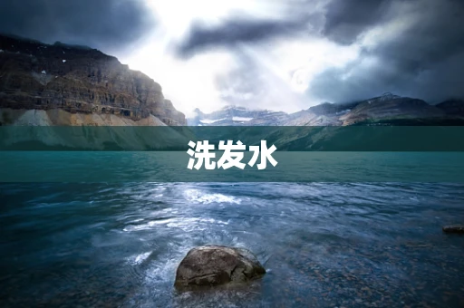 洗发水