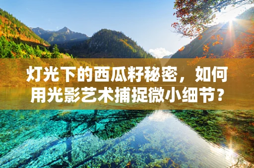 灯光下的西瓜籽秘密，如何用光影艺术捕捉微小细节？