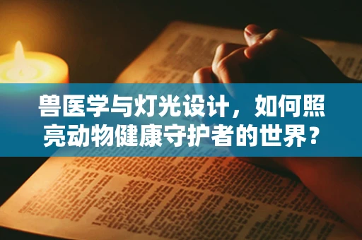 兽医学与灯光设计，如何照亮动物健康守护者的世界？