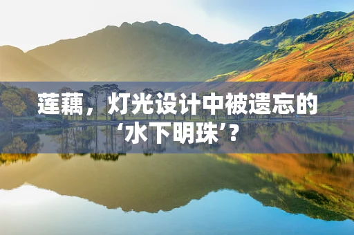 莲藕，灯光设计中被遗忘的‘水下明珠’？