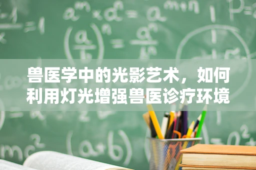 兽医学中的光影艺术，如何利用灯光增强兽医诊疗环境？