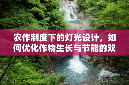 农作制度下的灯光设计，如何优化作物生长与节能的双重考量？