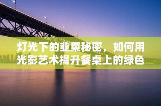 灯光下的韭菜秘密，如何用光影艺术提升餐桌上的绿色诱惑？