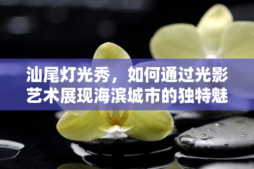 汕尾灯光秀，如何通过光影艺术展现海滨城市的独特魅力？