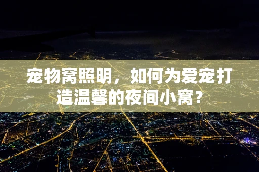 宠物窝照明，如何为爱宠打造温馨的夜间小窝？