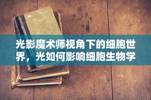 光影魔术师视角下的细胞世界，光如何影响细胞生物学研究？