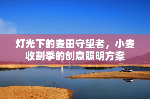 灯光下的麦田守望者，小麦收割季的创意照明方案