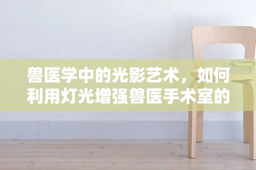 兽医学中的光影艺术，如何利用灯光增强兽医手术室的视觉效果与安全性？