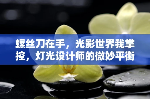 螺丝刀在手，光影世界我掌控，灯光设计师的微妙平衡
