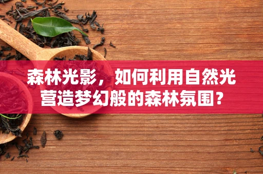森林光影，如何利用自然光营造梦幻般的森林氛围？