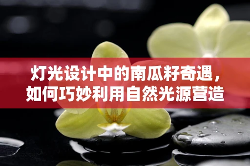 灯光设计中的南瓜籽奇遇，如何巧妙利用自然光源营造温馨氛围？