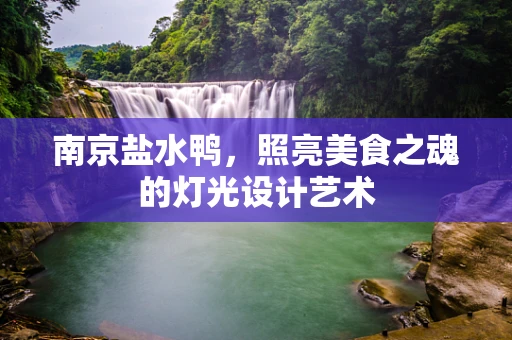 南京盐水鸭，照亮美食之魂的灯光设计艺术