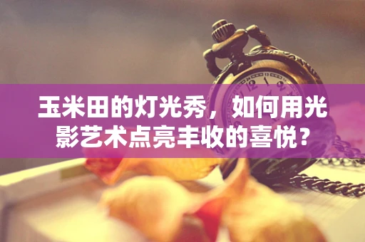 玉米田的灯光秀，如何用光影艺术点亮丰收的喜悦？