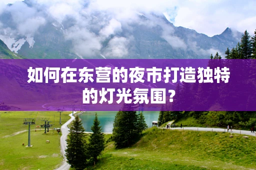 如何在东营的夜市打造独特的灯光氛围？