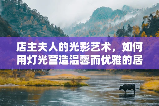 店主夫人的光影艺术，如何用灯光营造温馨而优雅的居家氛围？