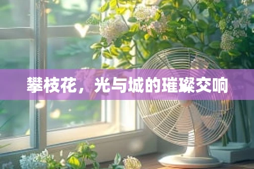 攀枝花，光与城的璀璨交响