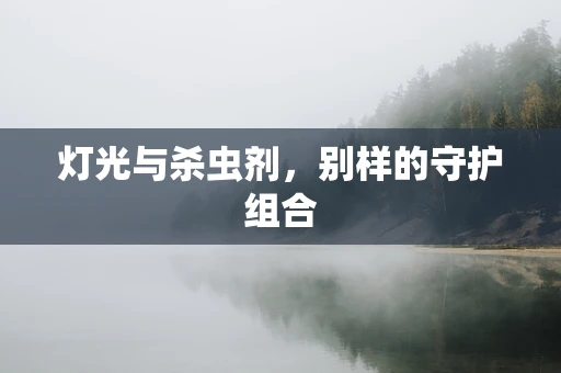 灯光与杀虫剂，别样的守护组合