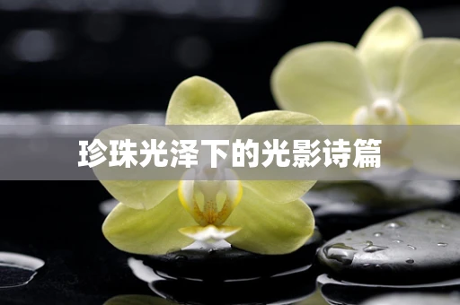 珍珠光泽下的光影诗篇