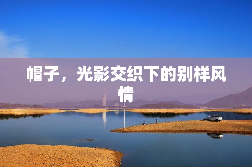 帽子，光影交织下的别样风情