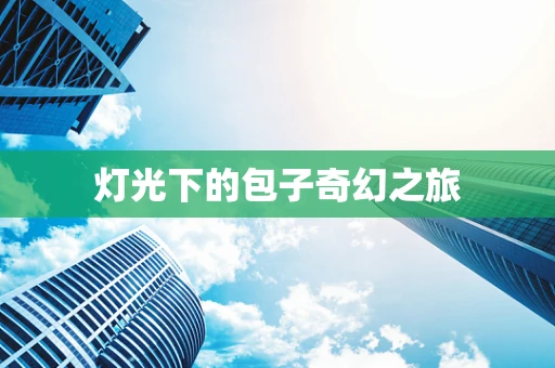灯光下的包子奇幻之旅
