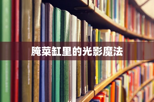 腌菜缸里的光影魔法