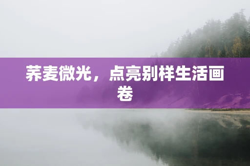 荞麦微光，点亮别样生活画卷