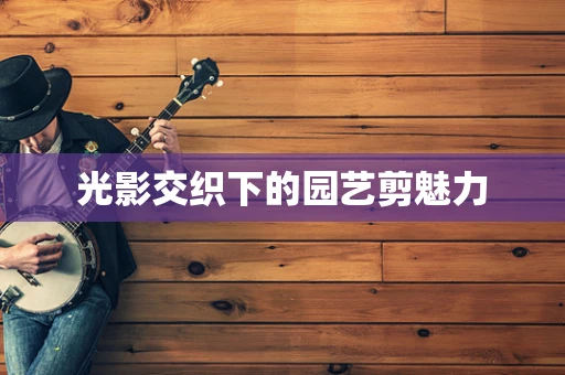 光影交织下的园艺剪魅力