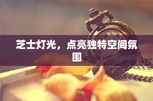 芝士灯光，点亮独特空间氛围